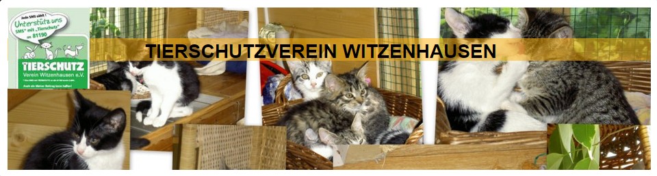 Tiere in Not Odenwald e.V.
