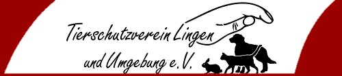 TSV Lingen