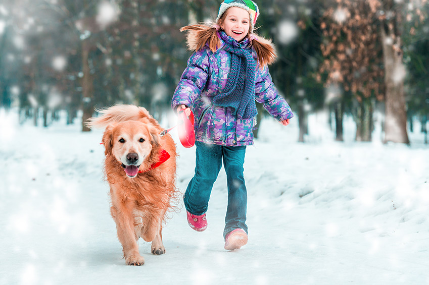 Checkliste für Hunde im Winter