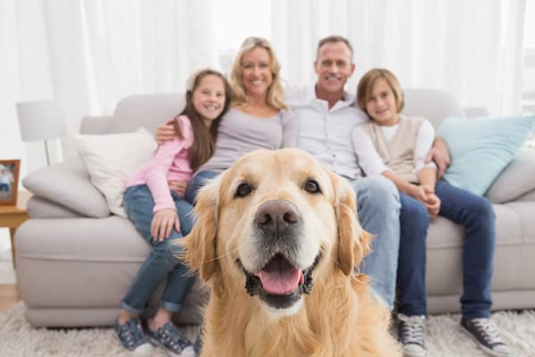 „Familienhund"