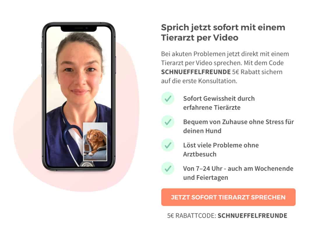 Schnüffelfreunde