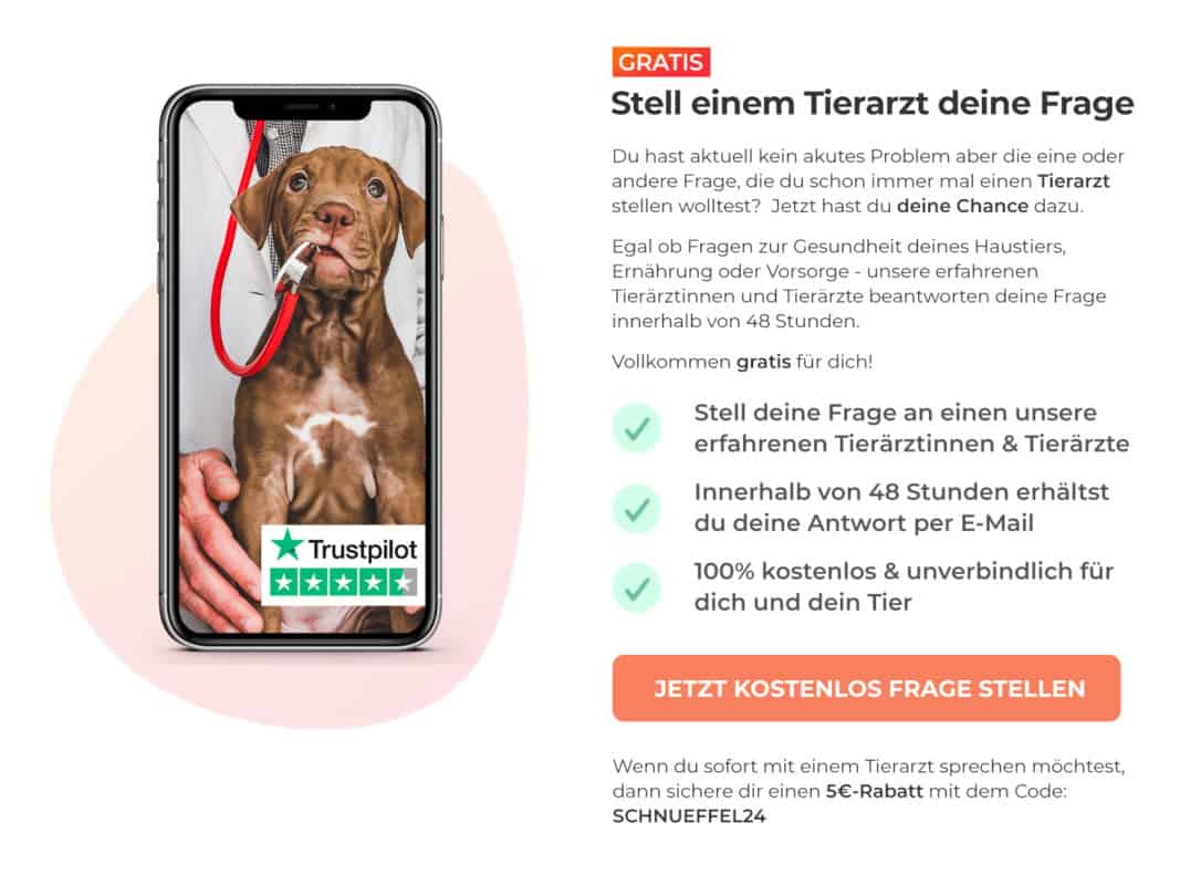 Schnüffelfreunde