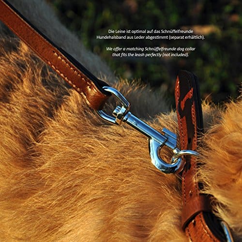 Situationsbild Nahaufnahme von Hund, der Schnüffelfreunde Halsband trägt mit passender Hundeleine, Karabinerhaken am Befestigungsring des Halsbandes befestigt