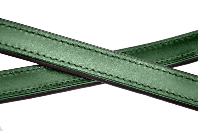 Hundeleine Grün 230cm Nahaufnahme von gekreuzt übereinander liegenden Leinensträngen