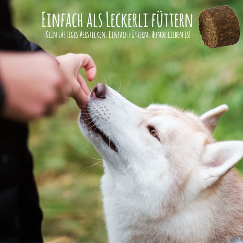 Schnüffelfreunde
