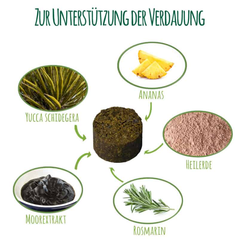 Schnüffelfreunde