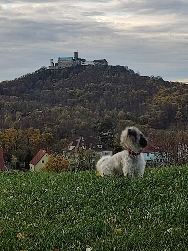Schnüffelfreunde