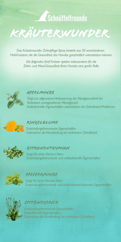 Schnüffelfreunde