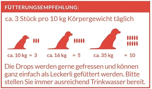 Schnüffelfreunde
