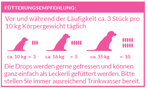 Fütterungsempfehlung Schnüffelfreunde Läufigkeit