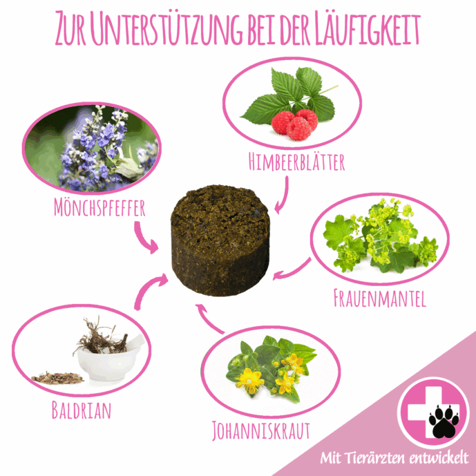 Läufigkeit I 150g Standardgröße I Stressreduzierung & Wohlbefinden während des Zyklus – Bild 2