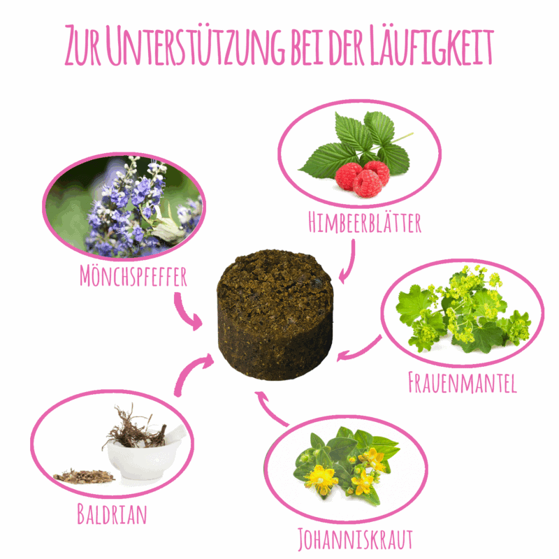 Schnüffelfreunde