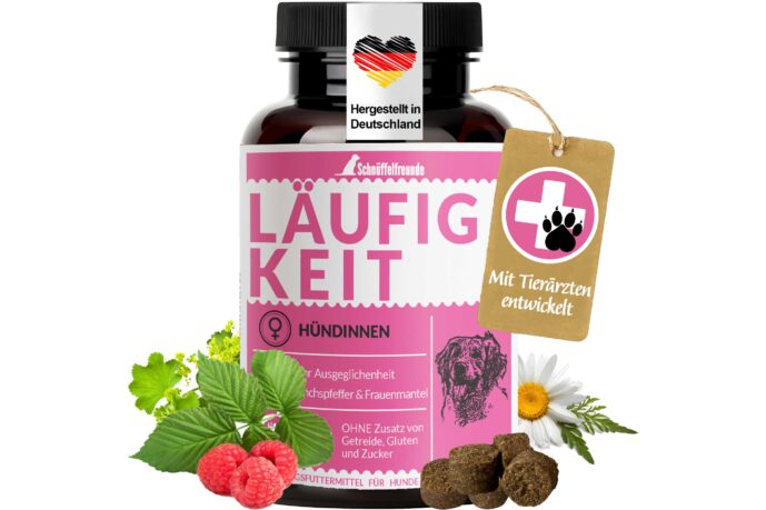 Läufigkeit für Hündinnen - Scheinschwanger scheinträchtig Hund