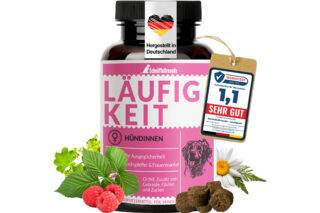 Läufigkeit für Hündinnen - Scheinschwanger scheinträchtig Hund