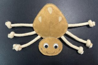 Zerrspielzeug "Lotte" - Spinne mit Zerrseil