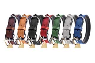 Schnüffelfreunde Lederhalsbänder